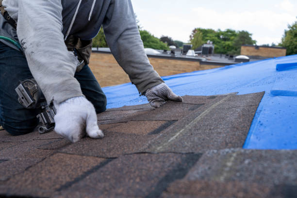 Best Roof Replacement Cost  in Marshall, VA
